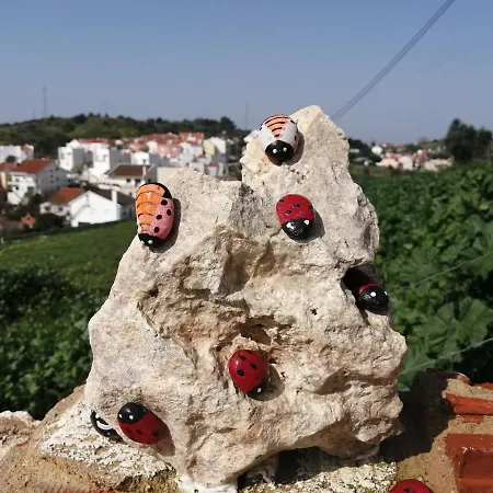 Varandas Da Serra Ii 度假居 希拉自由镇